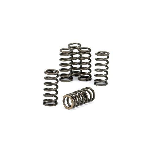 Clutch springs Husaberg 250 FE (13) CSK179