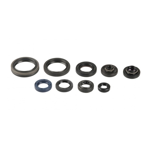 Engine Seal Set Centauro Beta RR 250 (13-25) 467A258SR