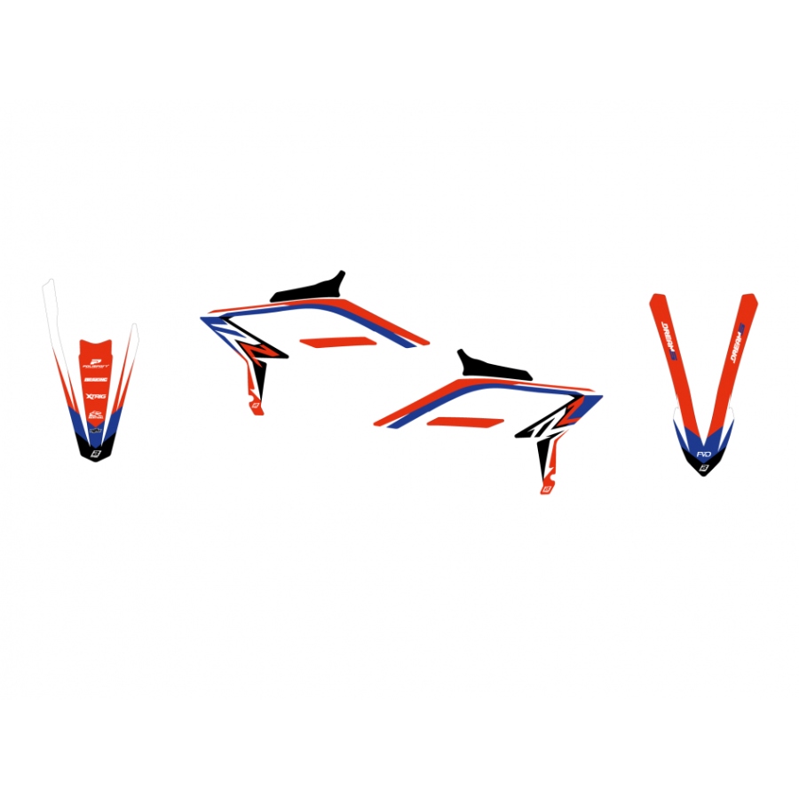 Graphics kit Beta RR 250 (23-24) Dream 5 BL-2B08AB